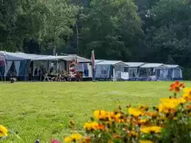 Veluwschkarakter