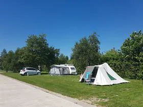 De Boerenzwaluw