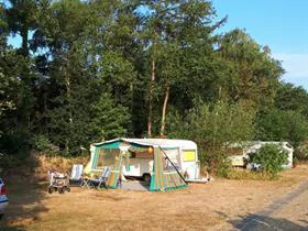 De Wolboom