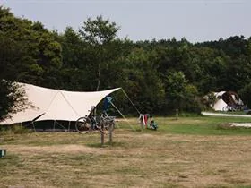 Middelpôlle