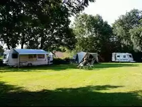 Rigtersheert