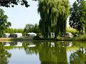 Betuwe Hofjes