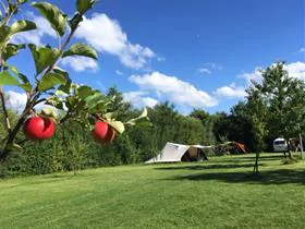 De Kamperhoek