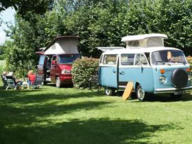 Camping De Rietkraag in Lemelerveld