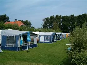 Groede