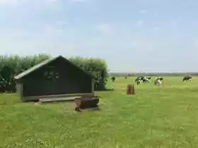 Biesboschhoeve
