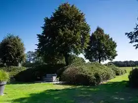Lindershoeve