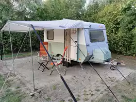 De Kermisrose
