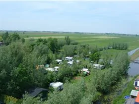 't Salamandertje