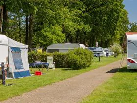 Camping De Harmienehoeve in Winterswijk Woold