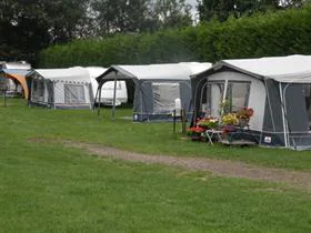 De Koehorn