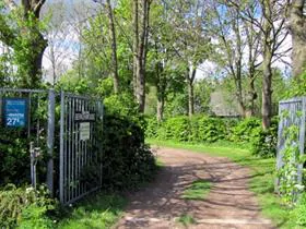 Berkenwoude