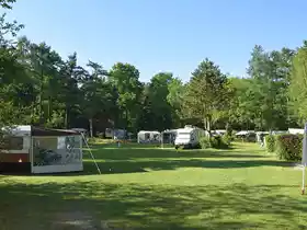 Het Horstmannsbos