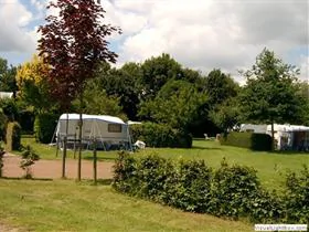 De Rijnstrangen