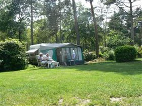 Zuid Ginkel