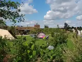 Zwaakseweel