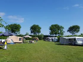 De Kolibrie