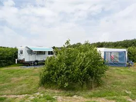 De Rugediek