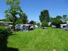 Wilgenhoek