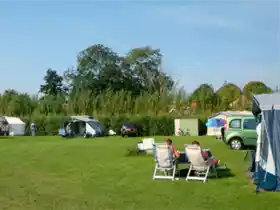 Weideveld