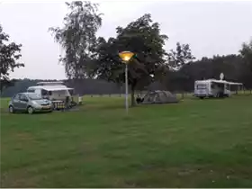 Boszicht