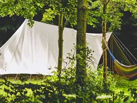 Het Bos Roept