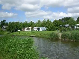 De Roos