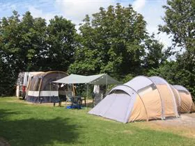Roos en Doorn