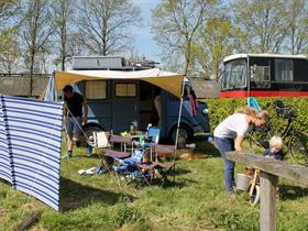 Recreatie Landschap Rosenboom