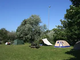 Banjaert